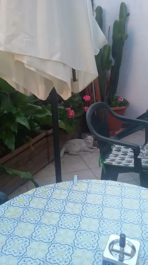 Appartamento Nenna Olbia